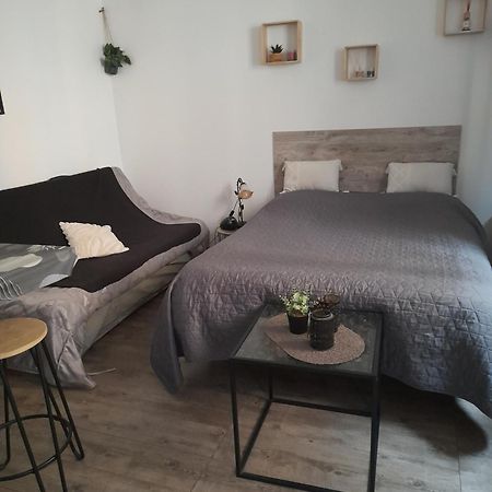 Studio Cosy Proche Centre Mpl/ Pk Gratuit Montpellier Kültér fotó