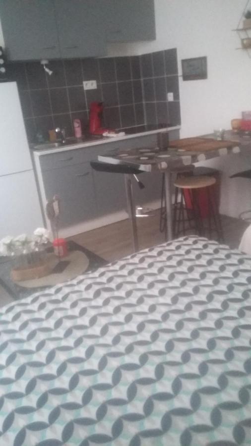 Studio Cosy Proche Centre Mpl/ Pk Gratuit Montpellier Kültér fotó